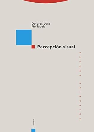 Percepción Visual